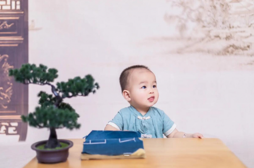 舞钢宝宝6个月可以坐吗